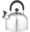 Чайник со свистком MAL-039-MP / 985605 21век