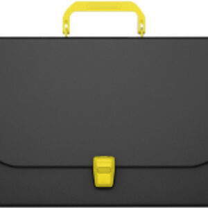Папка-портфель Matt Accent / 50440 21век