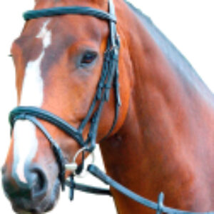 Оголовье для лошади Melton PONY / V442/BLACK/PONY 21век