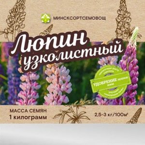 Сидерат Люпин Жодинский 21век