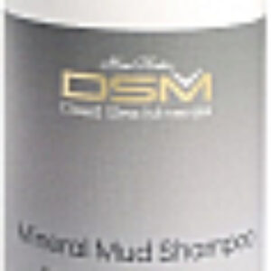 Шампунь для волос Грязевой с облепиховым маслом 21век