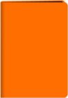 Записная книжка Neon / БНККЛ6484324 21век