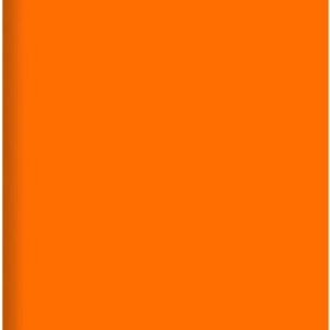 Записная книжка Neon / БНККЛ6484324 21век