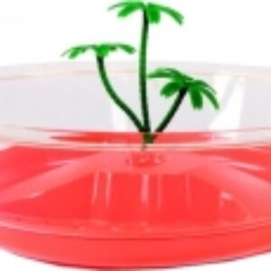 Террариум Nisida Maxi / 43.02 21век