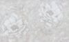Виниловые обои PL72255-28 21век
