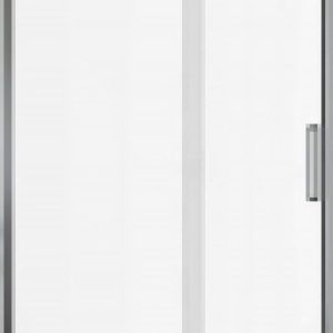 Душевая дверь Pleasure Evo 160 / AE65-N160-CT 21век