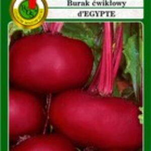 Семена Свекла Египетская плоская 21век