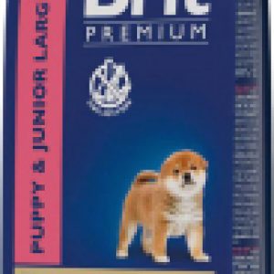 Сухой корм для собак Premium Dog Puppy and Junior Large and Giant с курицей / 5049981 21век