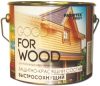 Защитно-декоративный состав Profi Wood Быстросохнущий 21век