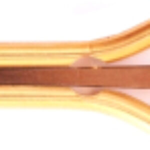 Варган PWVM-001 21век