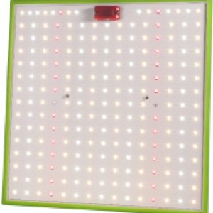 Светильник для растений Quantum Board FITO-80W-LED-QB / Б0053285 21век