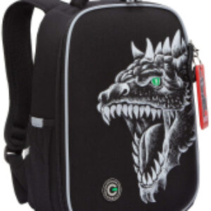 Школьный рюкзак RAw-497-3 21век