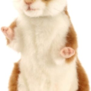 Мягкая игрушка Сreation Хомяк домашний / 3739 21век