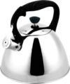 Чайник со свистком RS-7694-35 21век