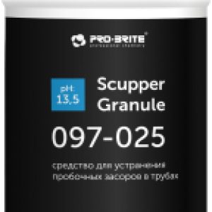 Средство для устранения засоров Scupper Granule 21век