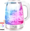 Электрочайник SkyKettle RK-G203S 21век