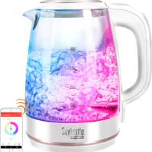 Электрочайник SkyKettle RK-G203S 21век