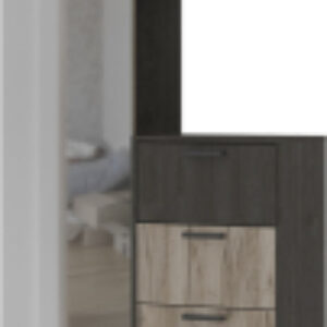 Секция в прихожую Эдинбург ВШ 01 21век