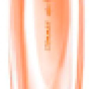Туалетная вода Summer White Sunset 21век