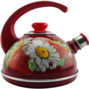 Чайник со свистком T04/25/01/05/H13 21век