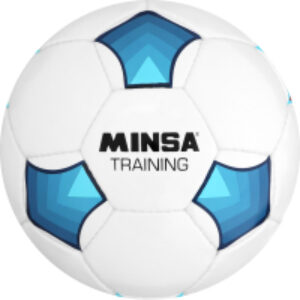 Футбольный мяч Training 9376736 21век