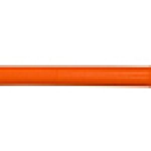 Дюбель для теплоизоляции C пластмассовым гвоздем DTM-N+GT-P / VZ011032 21век