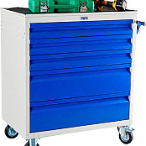Тележка инструментальная WDS-5 21век