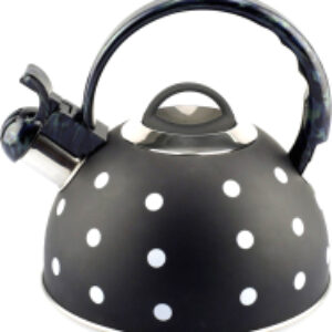 Чайник WTK135BLK 21век