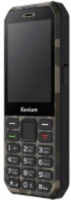 Мобильный телефон Xenium X300 / CTX300GC/00 21век