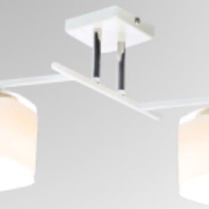 Потолочный светильник НПБ 02-2x60-101 / N5955/2 21век