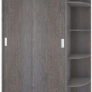 Шкаф-купе Лагуна ШК04-00 21век
