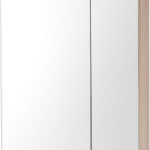 Шкаф с зеркалом для ванной Карина / ЕК.04.06.10.N 21век