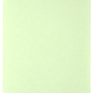 Рулонная штора Сантайм Лен СРШП-05В 2468 21век