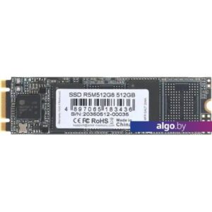 SSD AMD Radeon R5 512GB R5M512G8