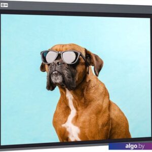 Проекционный экран CACTUS Wallscreen 149x265 CS-PSW-149X265-SG
