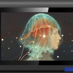Графический планшет XP-Pen Artist 12