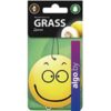 Grass Картонный ароматизатор Смайл
