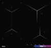 Варочная панель Backer BIH604-1T-S5 Black