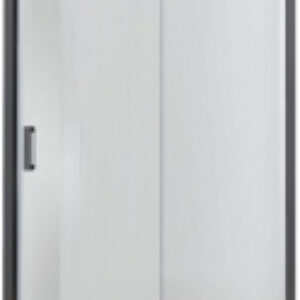 Душевая дверь 100x200 / AQ ARI RA 10020BL 21век