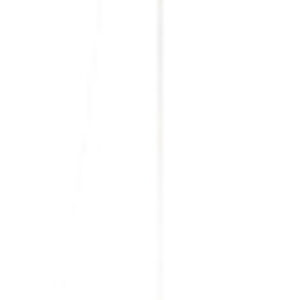 Потолочный светильник 10237P 21век