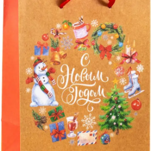 Пакет подарочный 27566009/260058 21век