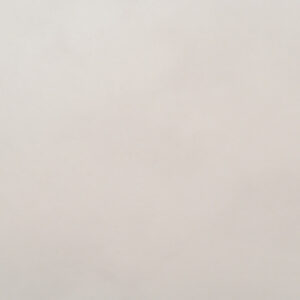 Виниловые обои Вуаль-уни 10967-04 21век