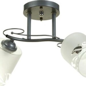 Потолочный светильник 1082/2SL / 5443290 21век