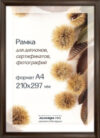 Рамка Д14КЛО/1246 21x30 21век