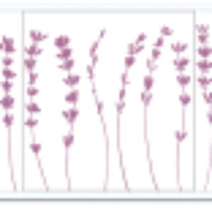 Экран для ванны Премиум А 1.68 21век