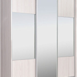 Шкаф-купе 176 YYX Elgon РГ-03.06 21век