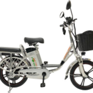 Электровелосипед Транк 18 V8 DD R18 250W 60v 20Ah 21век