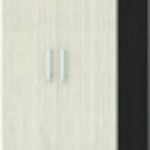 Шкаф Машенька ШК-201 21век