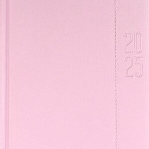 Ежедневник Илон Маск. Плонже-эконом 2025 / 66967 21век