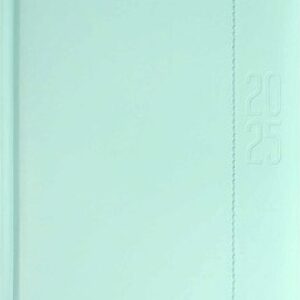 Ежедневник Илон Маск. Плонже-эконом 2025 / 66969 21век